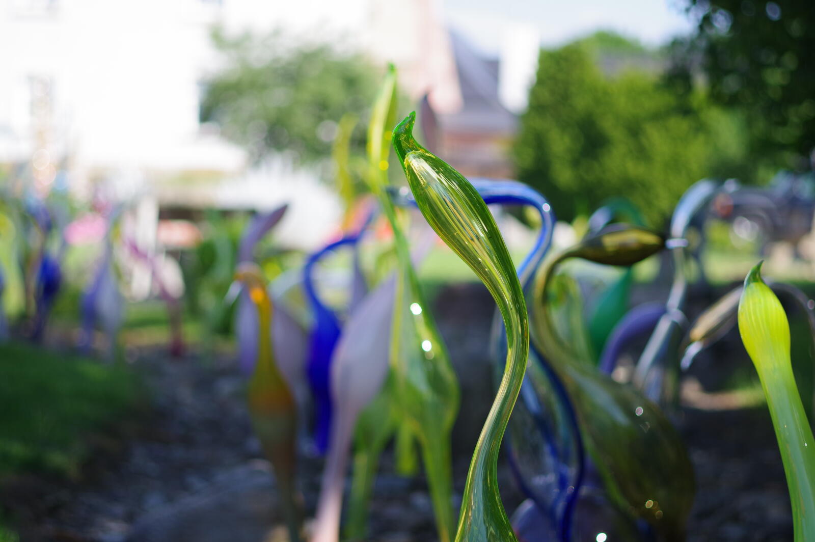 Pačinek Glass und der Glasgarten
